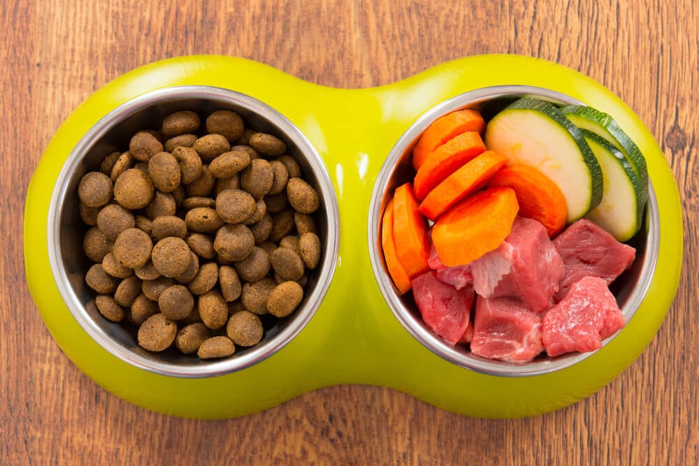 The pros and cons of organic cat food